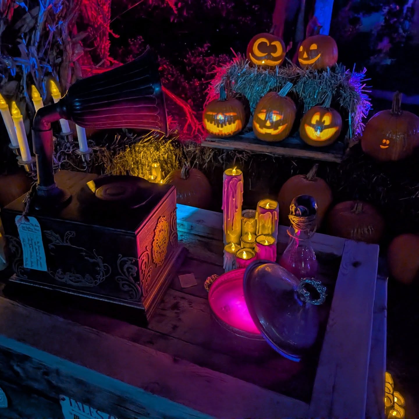 When the pumpkins glow and the gramophone hums,
the scarecrow keeps watch ‘til the night succumbs.
The tales are told, the candles gleam—
and all who listen drift into a dream.
#themysticalcaravan #halloweenmagic #regionbeyond