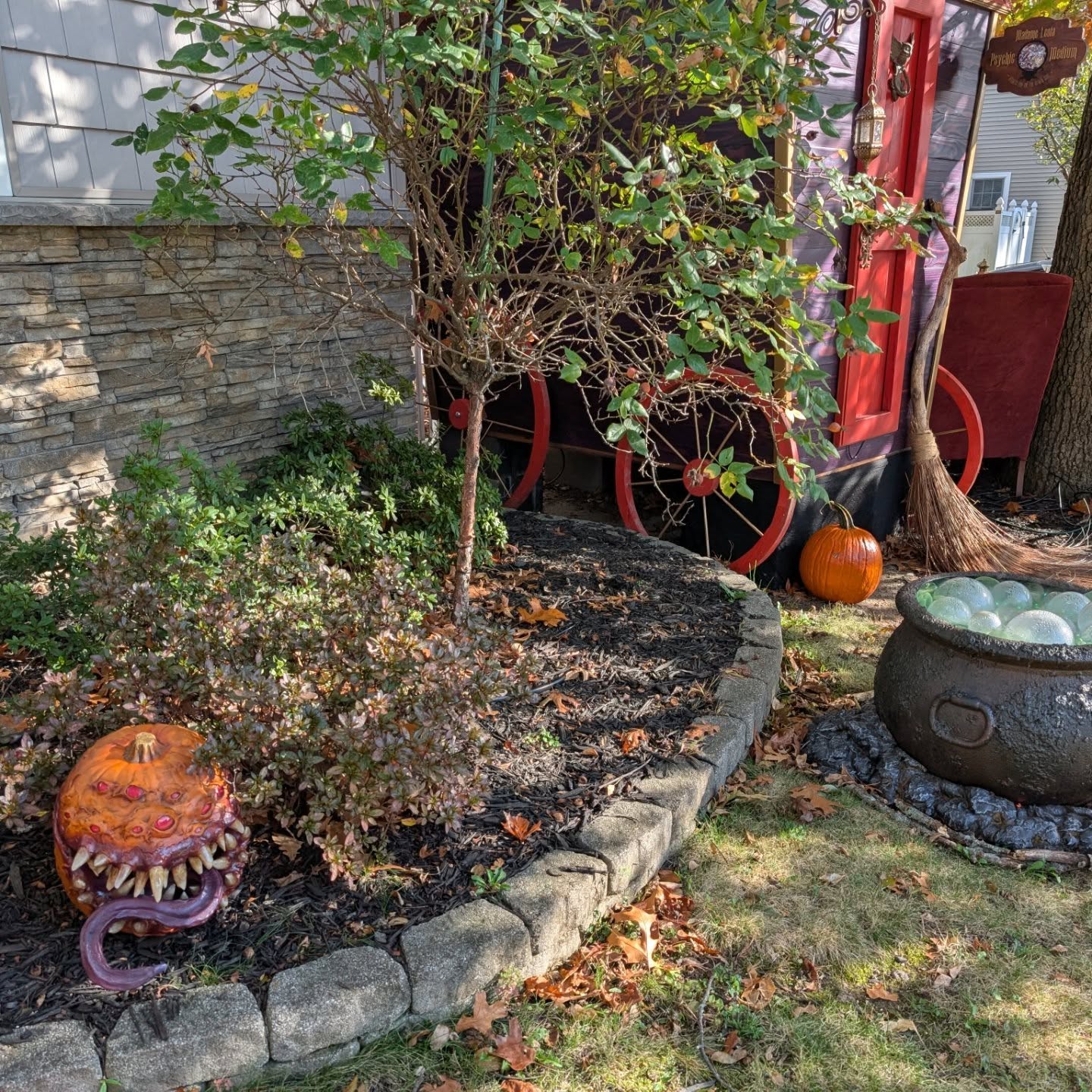 🎃 One of our pumpkins… is not like the others.
it growls, it glares, and it’s very hungry.
approach if you dare— it bites back. 👀
#themysticalcaravan #dungeonsanddragons #relicsfromregionsbeyond #talesofthemysticalcaravan #foolishmortals #spookyseason #hauntedhalloween #pumpkinpatch #sksprops