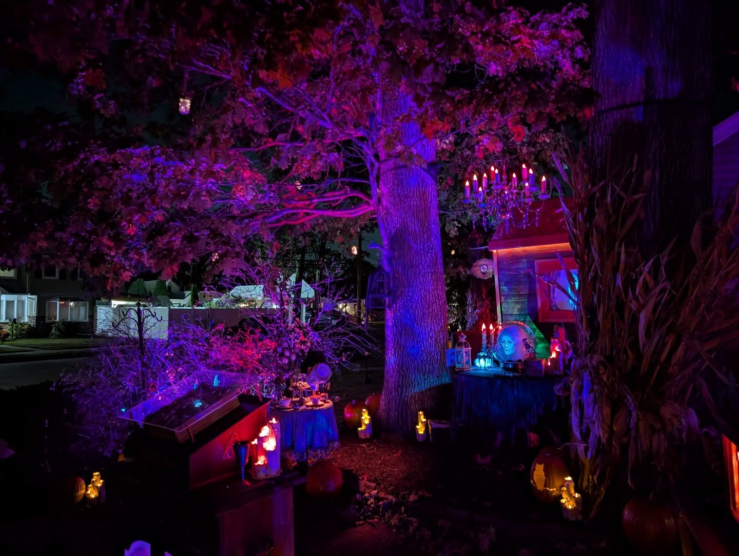 The fog has lifted.
The lanterns burn once more.
The Mystical Caravan has returned ! #themysticalcaravan #talesofthemysticalcaravan #relicsfromregionsbeyond #foolishmortals #quarreltheraven #hauntedcuriosities #spiritsfrombeyond #halloween #storytelling #spookyseason #ghoststories #octobernightscallingallloverstour