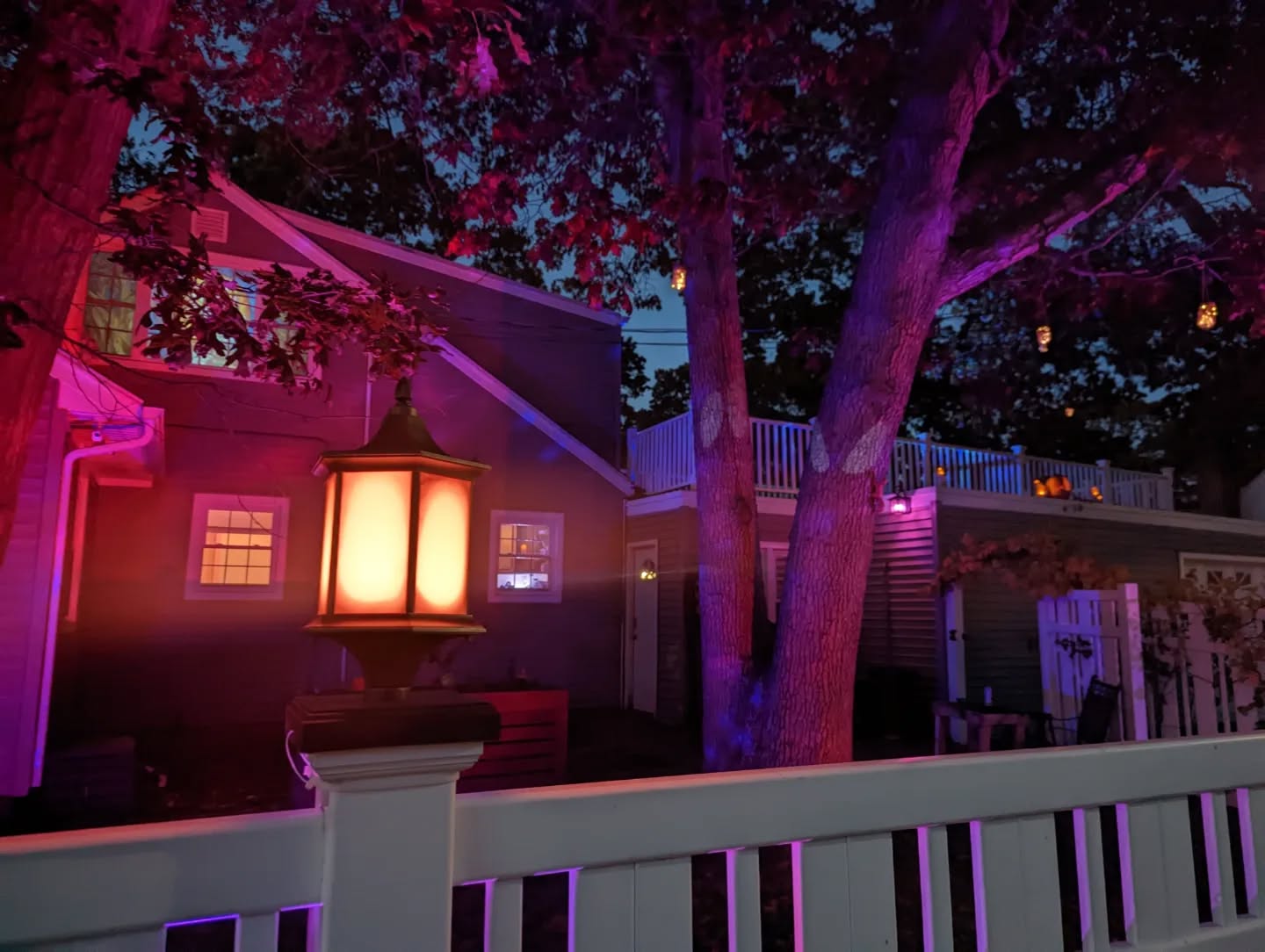 The trees have awoken ! #themysticalcaravan #halloween #halloween2022 #spooky #tree #haunted #hauntedmansion #massapequa