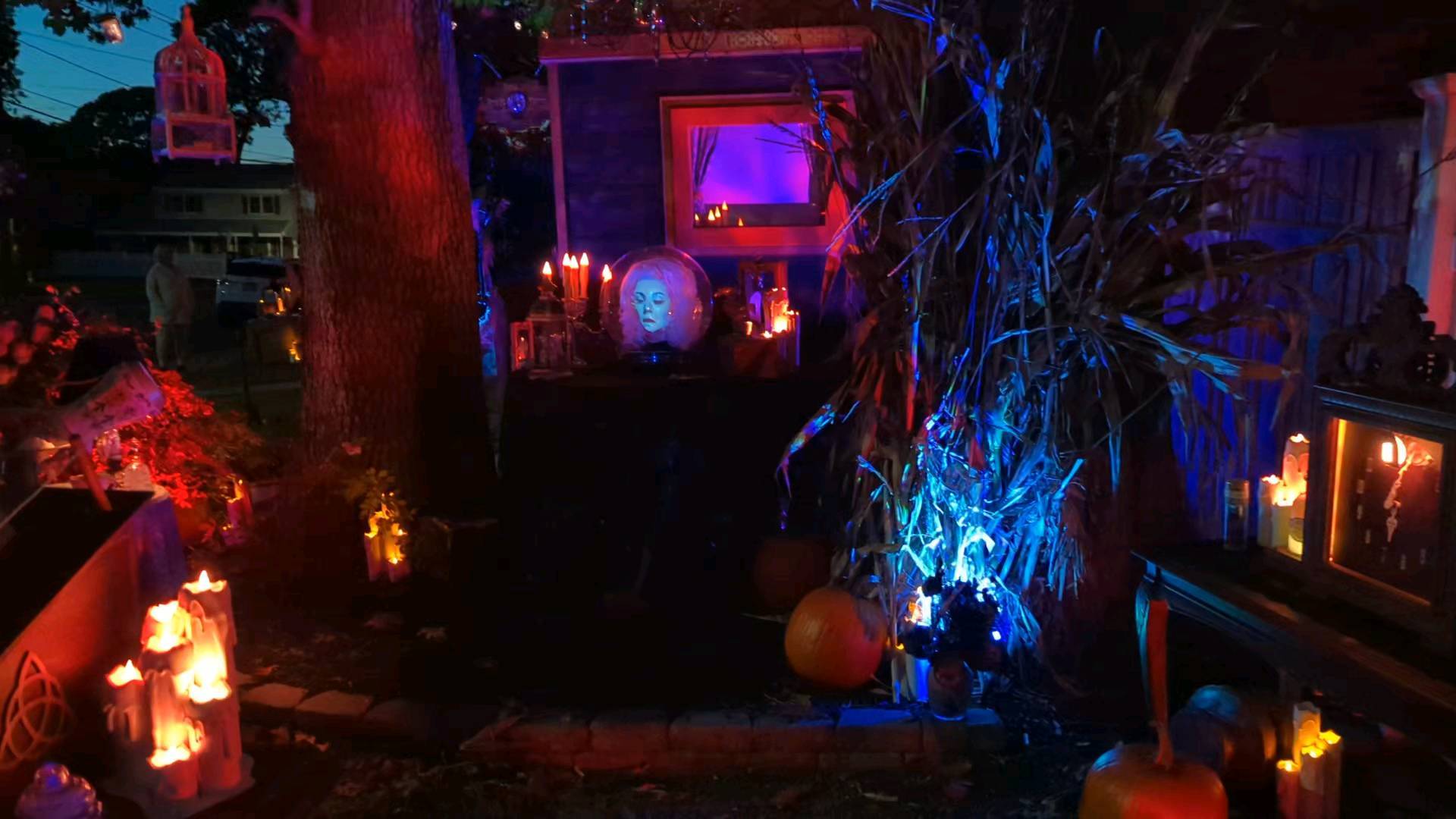 Madame Leota is performing every night, from Dusk to the Witching hour ! #themysticalcaravan #halloween #hauntedmansion #madameleota